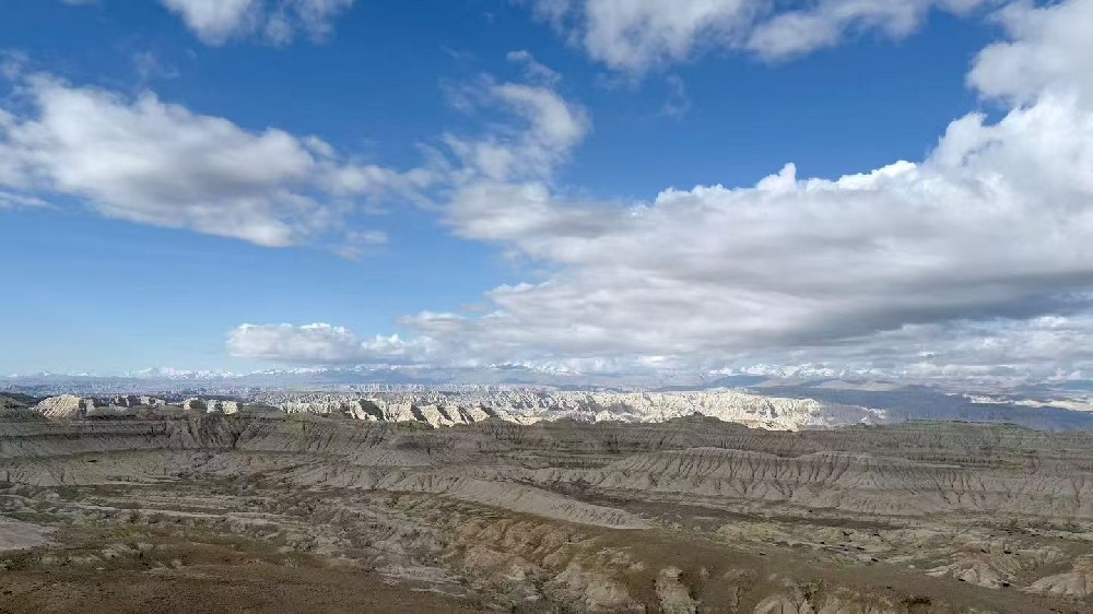 June 5, 2026 Review for a 10-Day Sichuan-Tibet Custom Tour for 5 Guests
